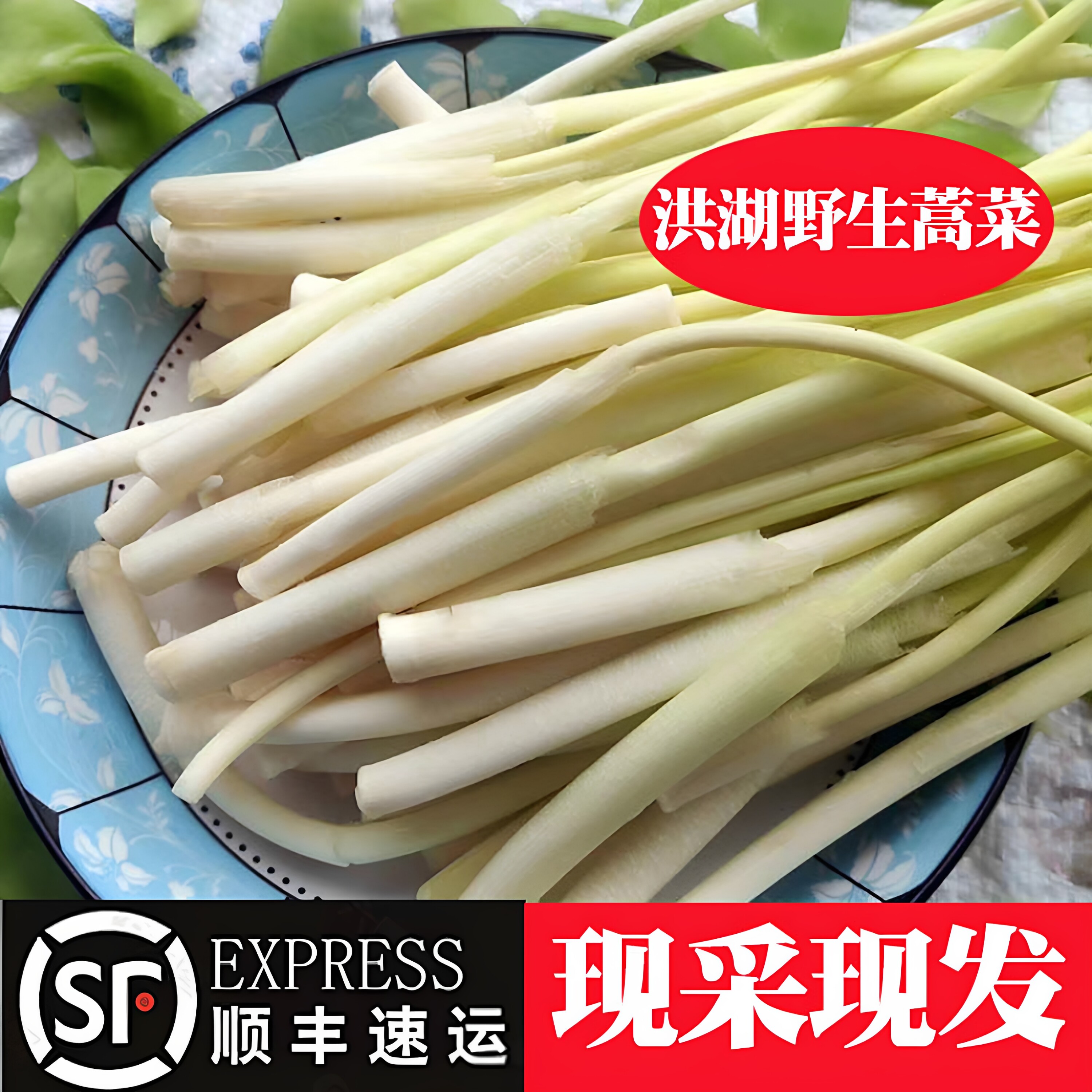 顺丰洪湖新鲜高菜蒲笋新鲜现摘蒿菜野茭白嫩心脆嫩爽口时令蔬菜