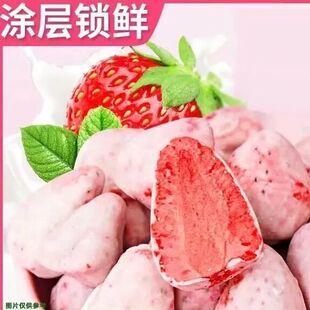 草莓冻干整颗巧克力涂层独立包装草莓脆网红休闲零食水果干