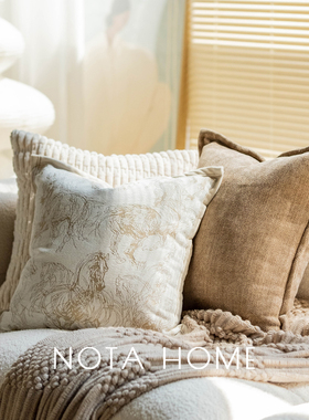2025年新款赖兔毛抱枕套北欧风纯色简约靠枕客厅沙发法式轻奢抱枕
