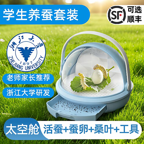 学生蚕宝宝太空舱套装活体蚕卵