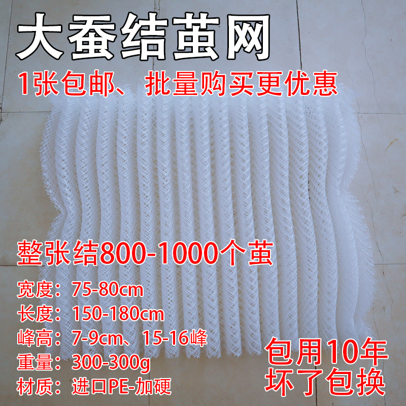 蚕宝宝结茧网方格簇蚕菇凉