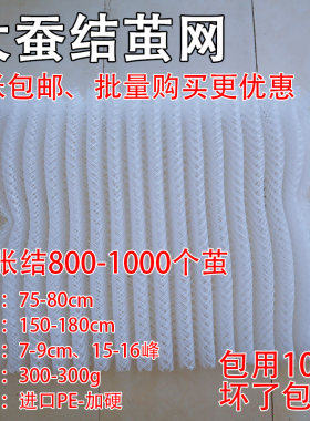 蚕宝宝结茧网方格簇蚕菇凉