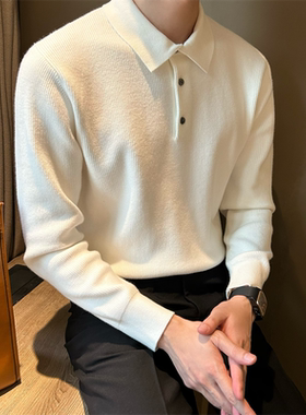 NR先生纯色修身细条肌理翻领男毛上衣简约净色轻熟长袖polo针织衫