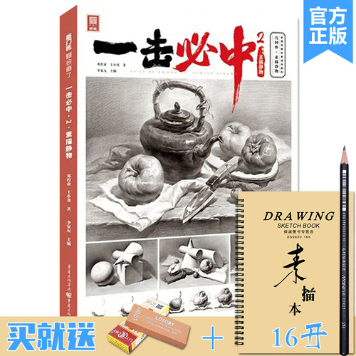 一击必中2素描静物 2021敲门砖邓程业王小龙素描基础单个组合素描几何体静物临摹范本画册素材美术高考联考教材教程书籍