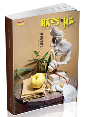 联考胜素描静物照片2019图画图书刘家新素描基础水果蔬菜花卉静物照片对画写生技法临摹高校考题应考长期美术绘画册教学材书籍
