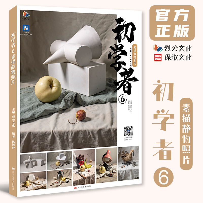 初学者6素描静物照片 2025烈公文化陈树仲单个组合素描石膏几何体静物照片写生对画素材美术高考联考美院教材教程书
