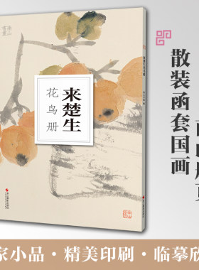来楚生花鸟册南山册页丛书 南山书画历代名家册页鉴赏临摹画册 初学者临摹欣赏装饰素材中国画花鸟画技法作品集水墨绘画艺术教程