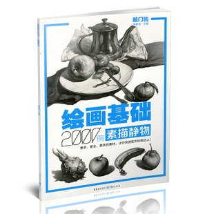 包邮敲门砖 绘画基础2000例 素描静物 李家友静物素描基础入门书9787229108854