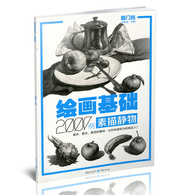 包邮敲门砖 绘画基础2000例 素描静物 李家友静物素描基础入门书9787229108854