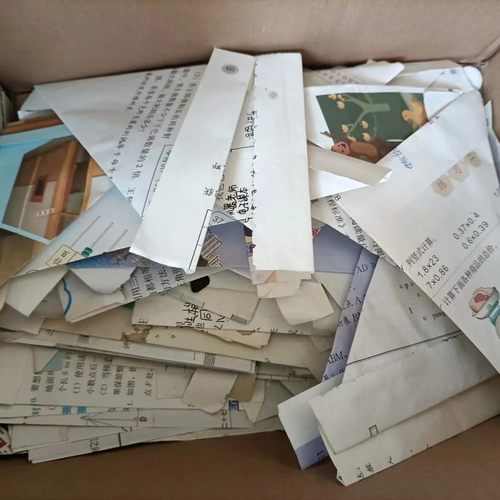 真蝴蝶标本练手蝶未展翅原蝶DIY手工材料造景幼儿园教学实验摄影