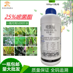 25%嘧菌酯菌脂叶斑病炭疽病白粉病锈病霜霉病稻瘟病农药杀菌剂
