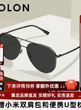 暴龙眼镜太阳镜经典飞行员偏光墨镜男款防强光开车驾驶镜BL8100
