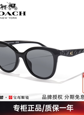 蔻驰Tabby手袋系列太阳镜