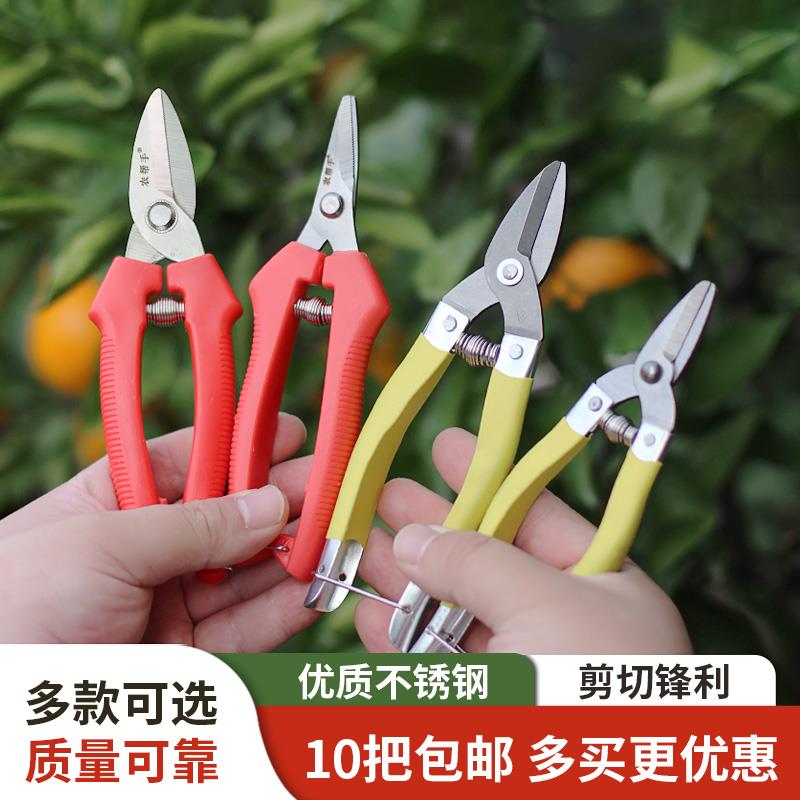 橘子柑橘采摘剪果树修枝剪刀专用