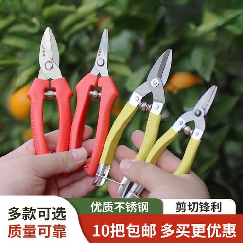 橘子柑橘采摘剪果树修枝剪刀专用