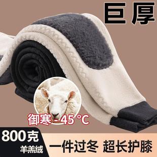 绒裤 冬季 护腰护膝毛裤 加绒加厚高腰棉裤 羊羔绒羊绒驼绒外穿 保暖裤