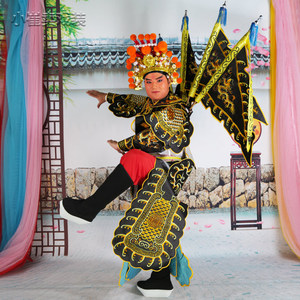 戏曲服装男大靠京剧靠服戏剧服饰古装武将武生花脸老生关公霸王靠
