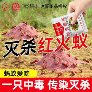 达豪灭红火蚁药家用室内厨房非无毒室内外灭蚂蚁清菜地野外蚂蚁药