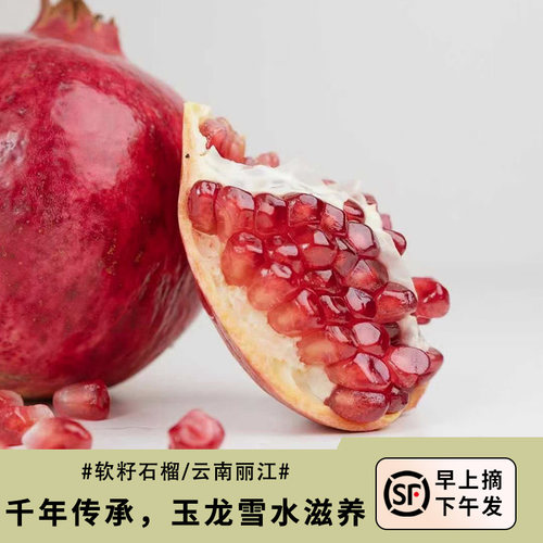 丽江突尼斯软籽石榴高原
