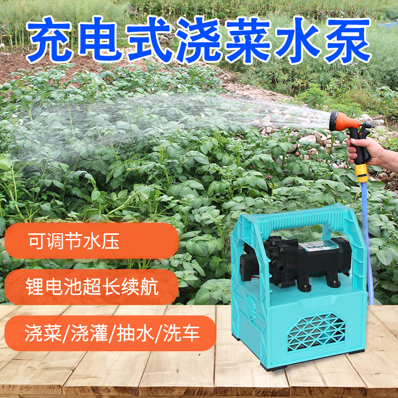 小型充电式抽水泵淋菜浇菜神器浇水机户外农用抽水机12V电瓶无线