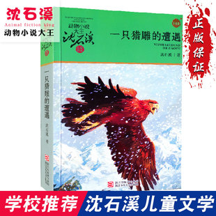 一只猎雕的遭遇/动物小说大王沈石溪中小学生课外阅读儿童读物青少年励志智慧成长人性亲情书籍