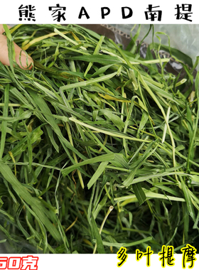 新草apd多叶南提熊家提摩西主草高纤维叶多兔子龙猫荷兰猪挑食试