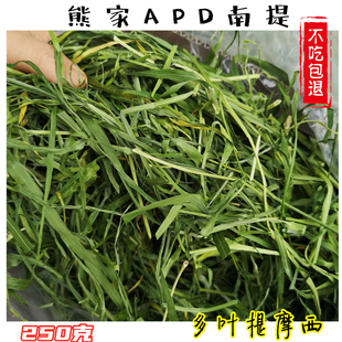 新草apd多叶南提熊家提摩西主草高纤维叶多兔子龙猫荷兰猪挑食试