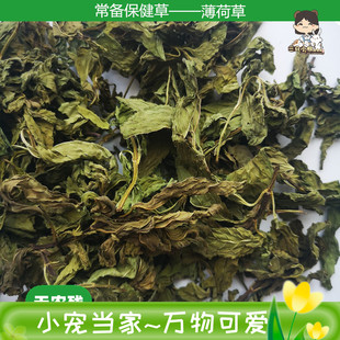 薄荷草 减轻尿臭味 消炎防治胀气 兔子龙猫荷兰猪豚鼠干草 保健草
