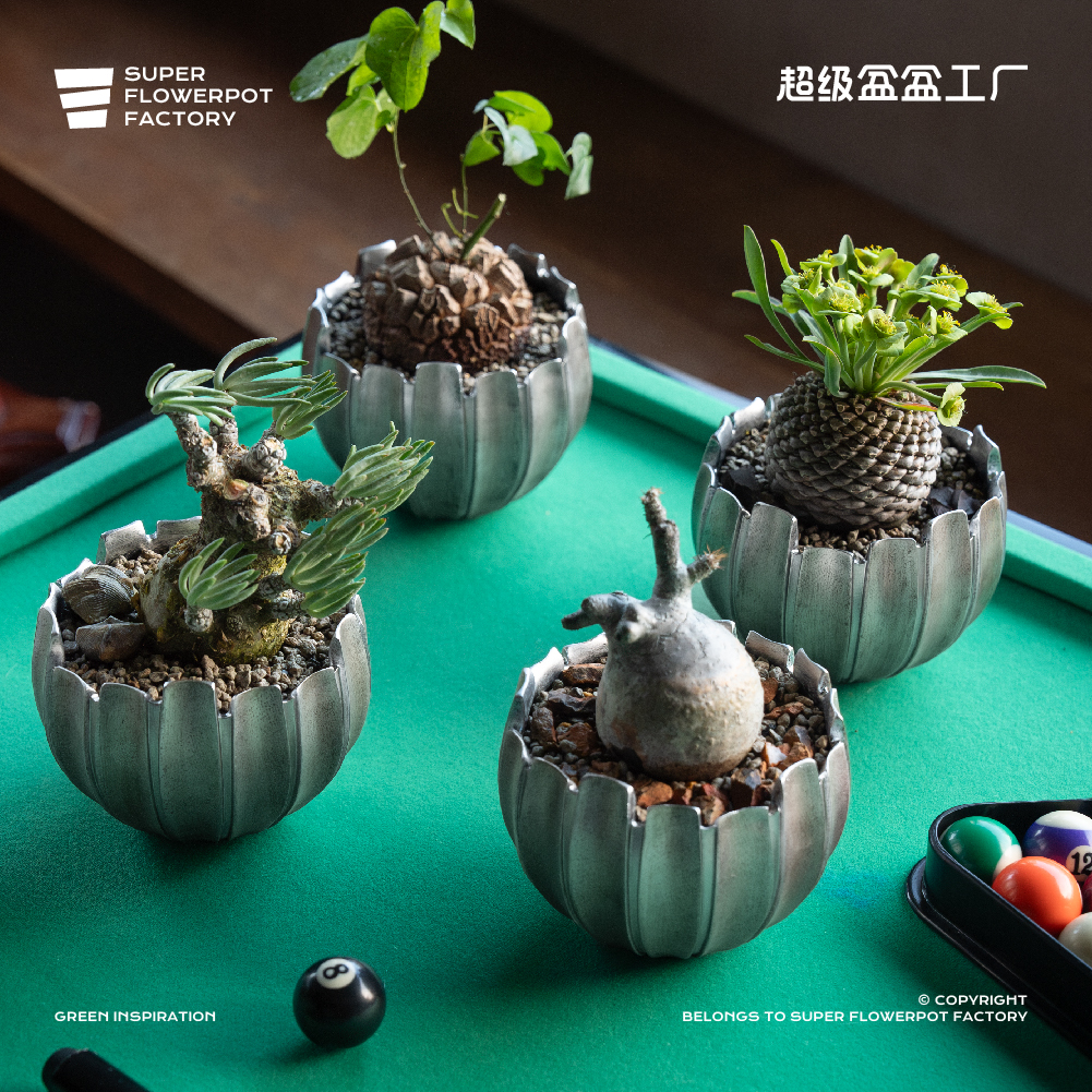 超级盆工厂树脂小桌面花盆沉香多肉绿植盆栽ins块根龙舌兰