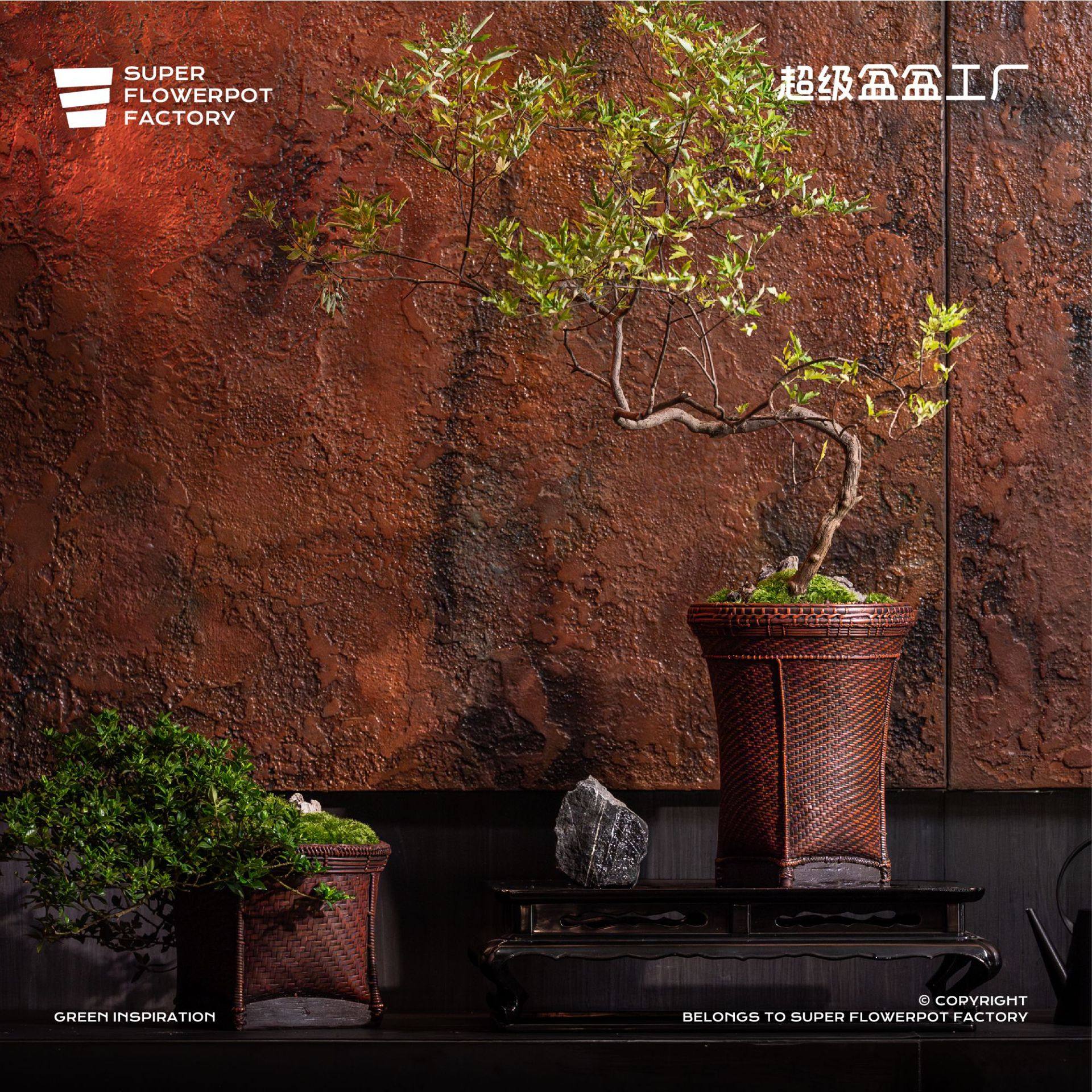 超级盆盆工厂原创设计仿竹编新中式花盆摆件绿植软装客厅花器图片