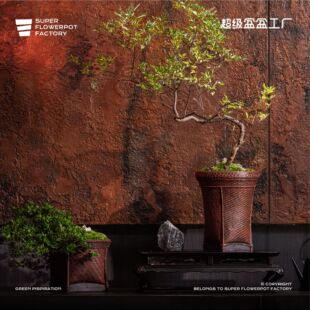 超级盆盆工厂原创设计仿竹编新中式花盆摆件绿植软装客厅花器