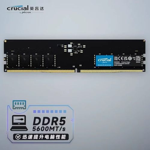 英睿达美光全新16G 32G DDR5 5600mhz台式机内存条  双通道64G