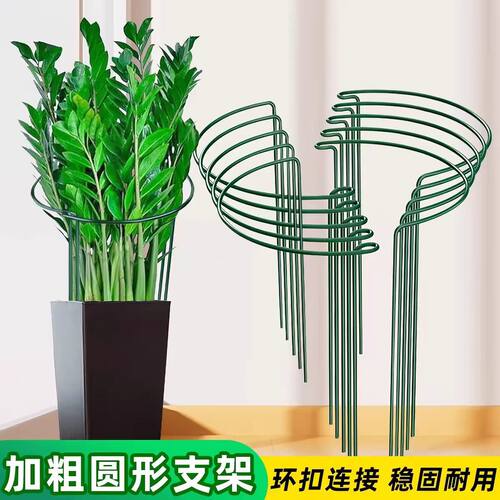 花架支撑杆防倒伏爬藤支架固定植物支撑架花架子龟背竹金钱树护花