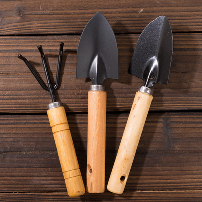 多肉盆栽园艺不锈钢工具三件套