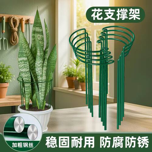 花支撑架植物支撑杆金钱树阳台花架花卉龟背竹防倒伏虎皮兰护花架