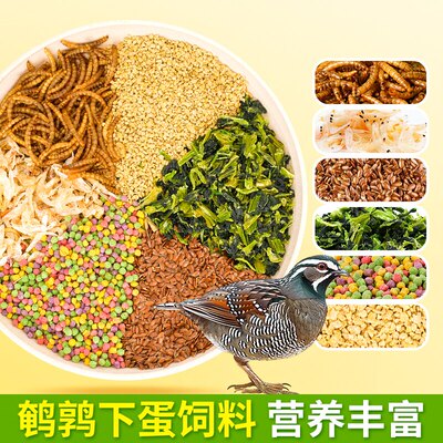 鹌鹑粮食专用营养饲料小鹌鹑幼鸟粮食育雏产蛋粮食小宠营养粮食