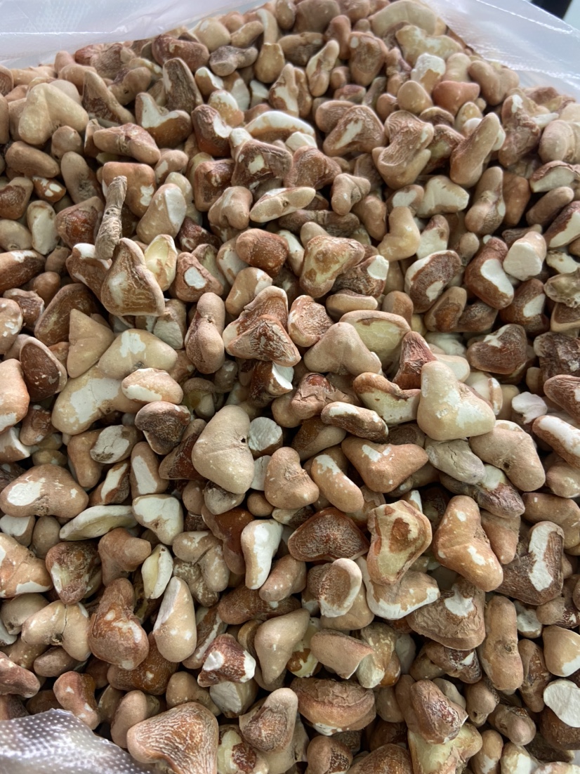 菱角仁500克东平湖野生菱角仁