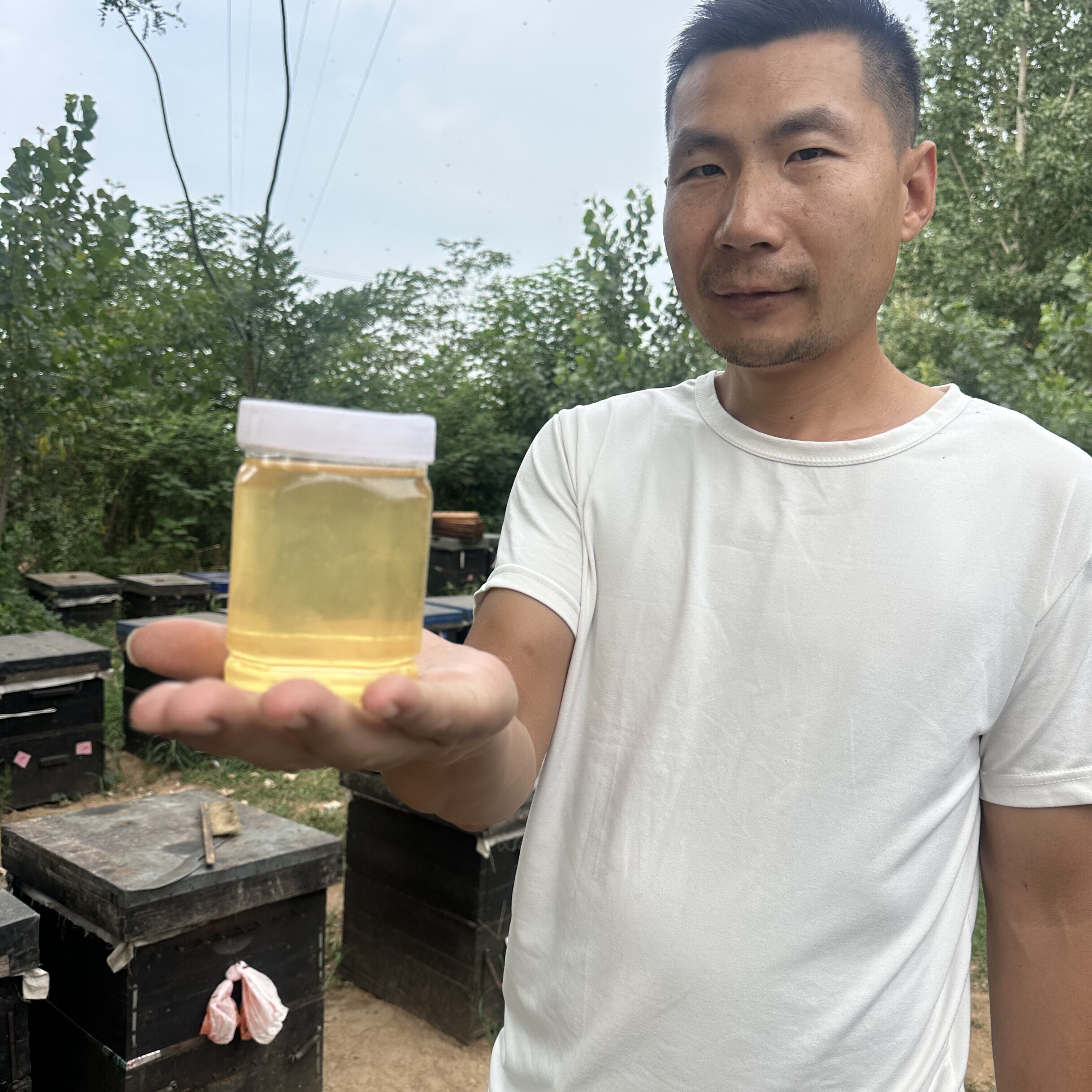 百花蜜（槐花和荆条）蜂蜜1斤，蜂王浆下单现挖！成熟蜜波美度43