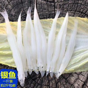 新鲜银鱼东平湖小银鱼新鲜银鱼面条鱼宝宝幼儿老人无骨无刺无鱼鳞