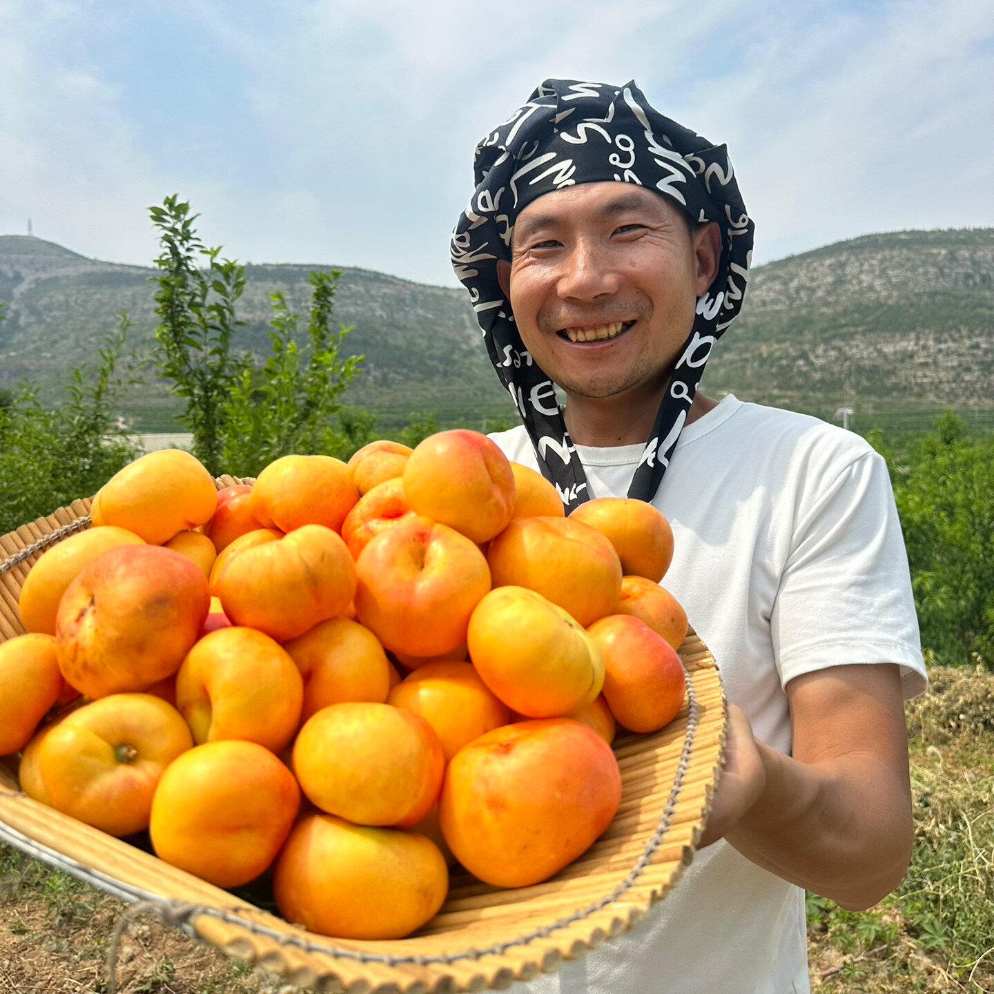 彩虹油蟠浓香型泰山蟠桃4.5斤包邮纯甜露天软硬两吃鲜摘现发