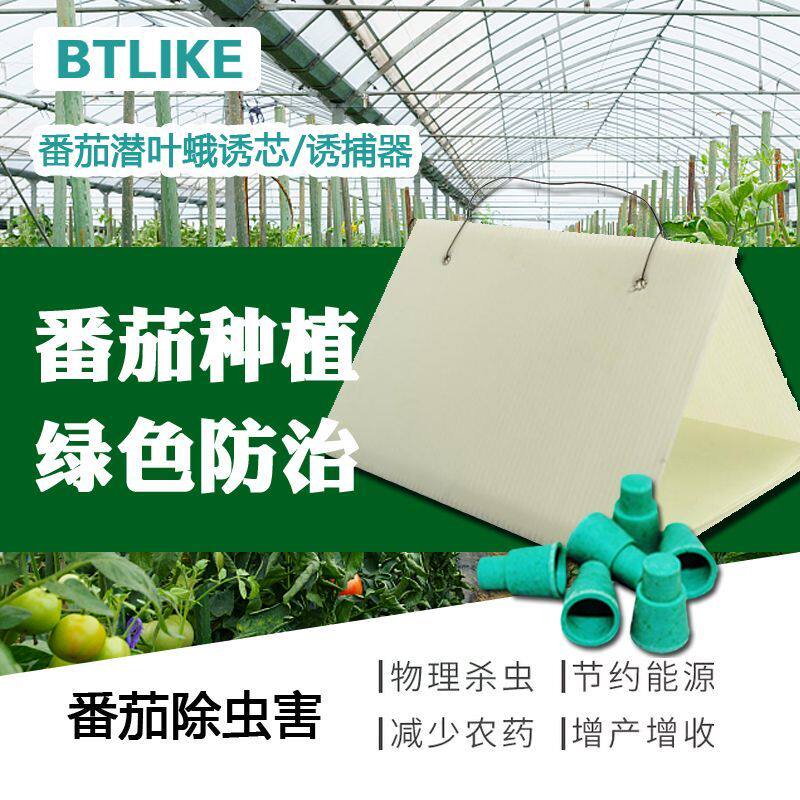 10套番茄潜叶蛾防治诱芯引诱剂西红柿粘飞蛾信息素诱捕器