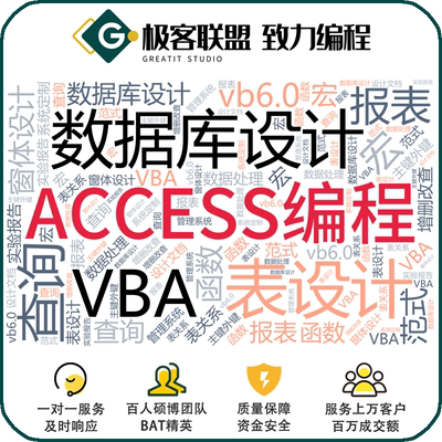 Access代做编程数据库设计sql查询编写VBA窗体宏报表辅导定制报告