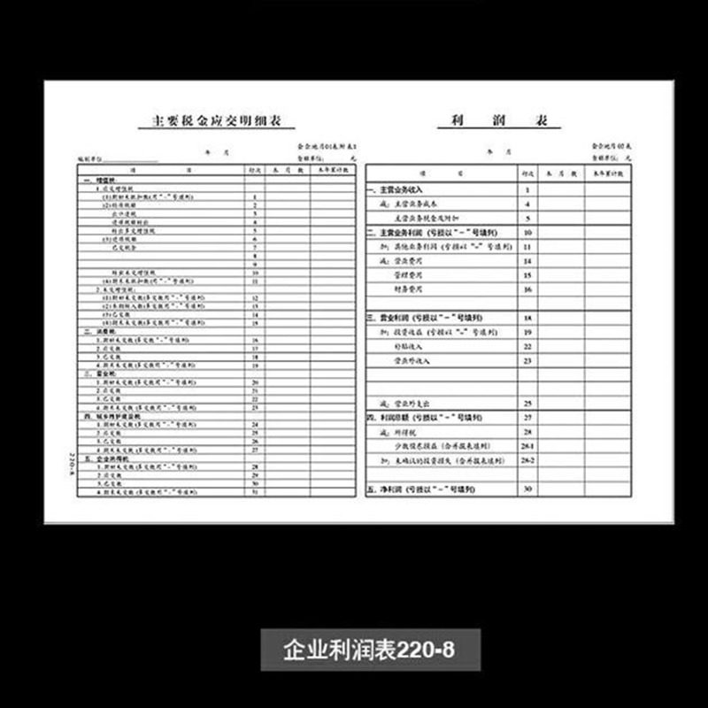 资产负债表和利润表企业个人财务报表公司利润本科目汇总表资金现