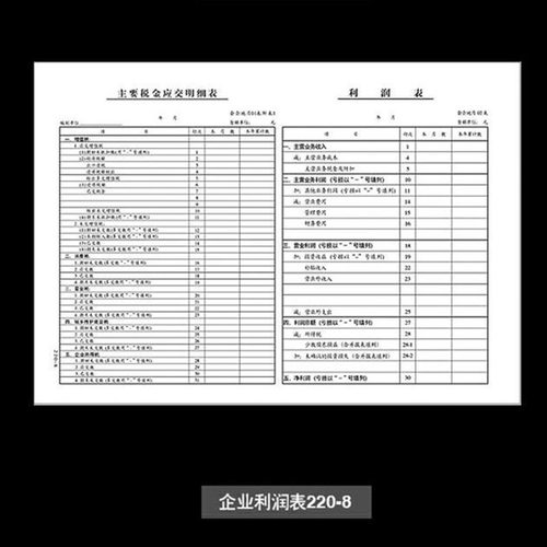 资产负债表和利润表企业个人财务报表公司利润本科目汇总表资金现