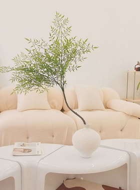 皓杨网红室内绿植花瓶