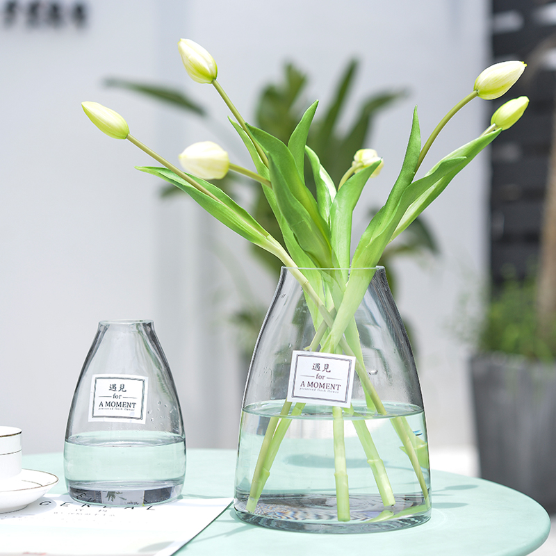 家居装饰北欧玻璃花瓶摆件客厅餐桌摆设水培透明干花花瓶送植物