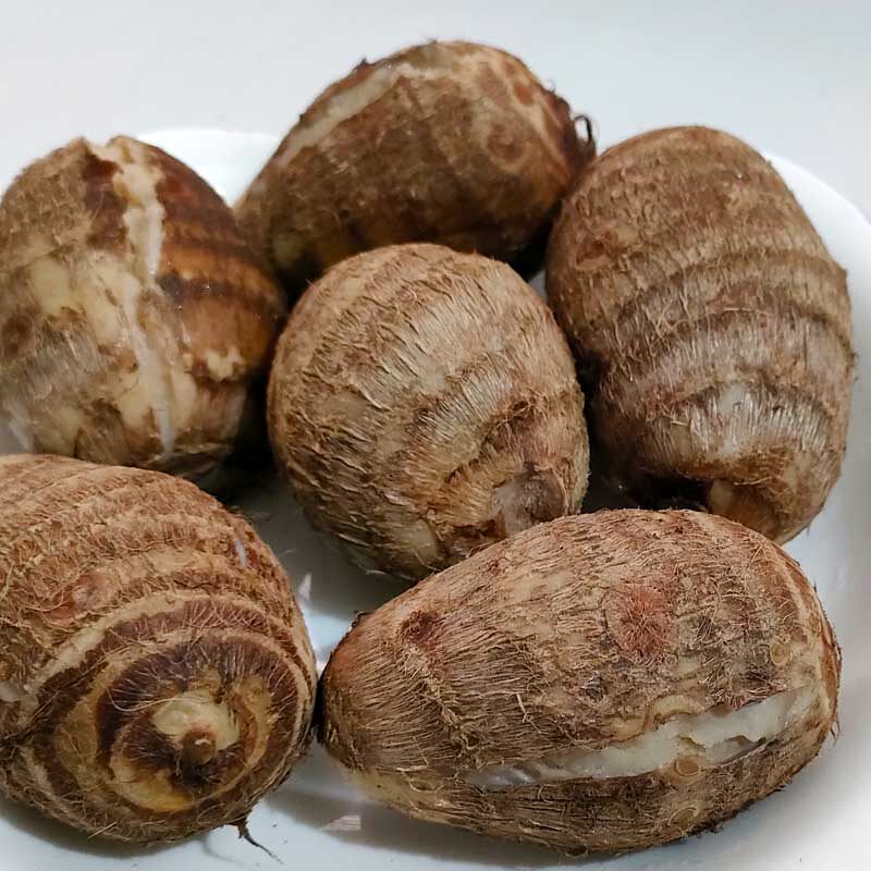 江西芋头新鲜小芋头白芋仔现挖现发农家蔬菜芋艿芋子绵丝滑糯包邮