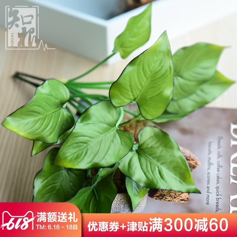 知根 仿真花草植物綠植 高仿真火鶴葉 家居裝飾假草葉子插花配草在類目 家居飾品, 花瓶/花器/仿真花/仿真飾品, 仿真植物盆景中 - 來自Buy2taobao.com提供專業的淘寶代購服務