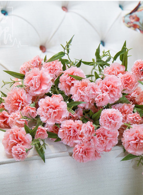 仿真花康乃馨花束假花干花塑料花装饰花束客厅绢花母亲节礼物