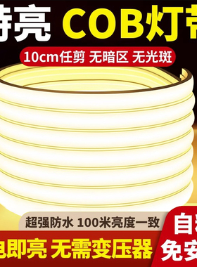 led灯带220v户外防水超亮自粘线形灯家用客厅吊顶氛围灯COB软灯条